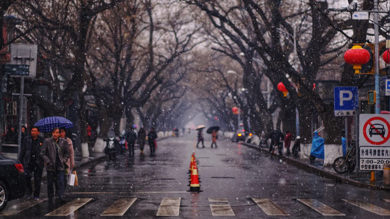 A snowy Beijing avenue lined with bare trees and red lanterns