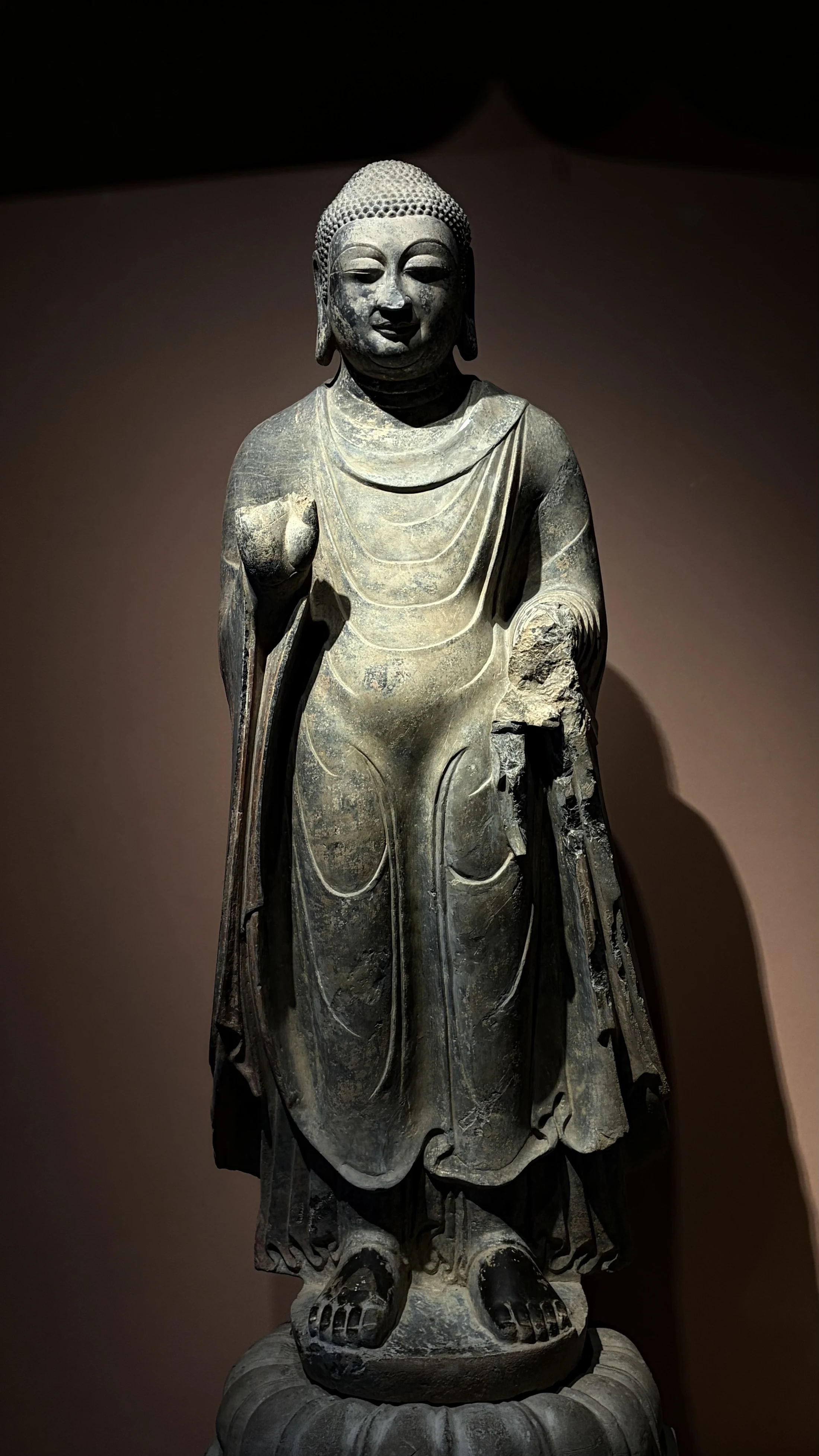 A standing Buddha sculpture displayed under focused museum light