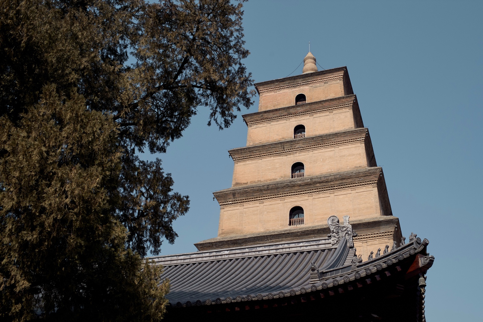 The Big Wild Goose Pagoda rising above temple roofs and trees