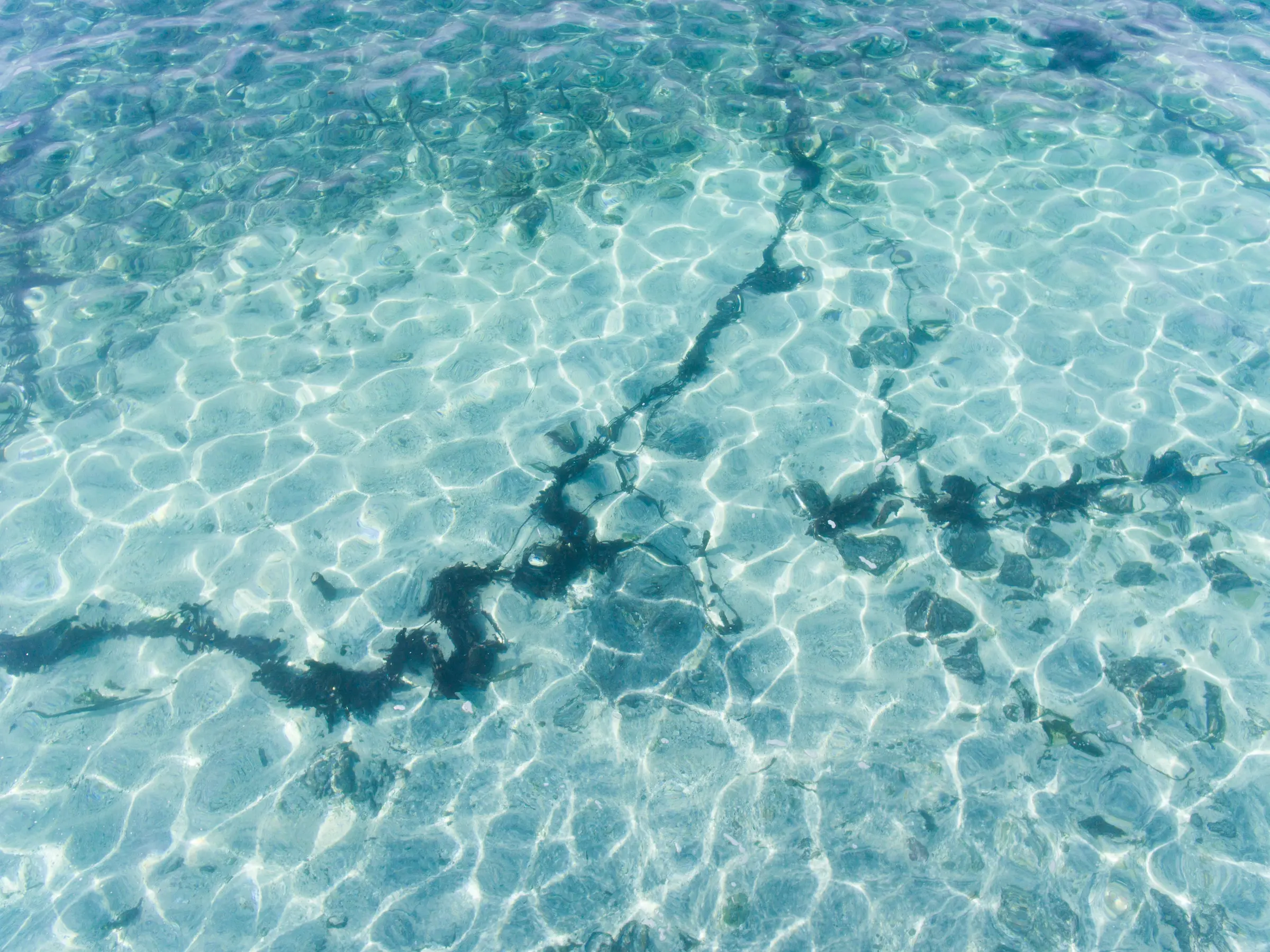 Clear water rippling across a dark shoreline