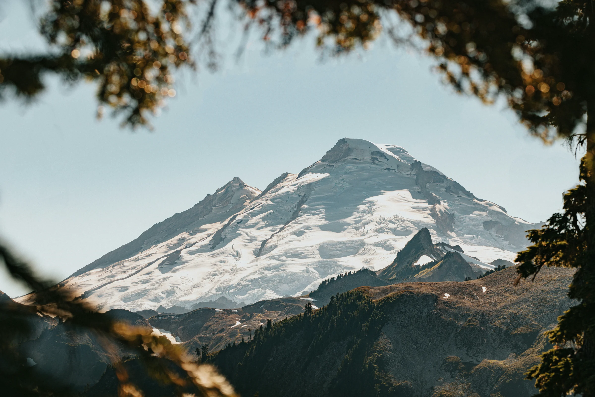 A snow-covered mountain framed by trees