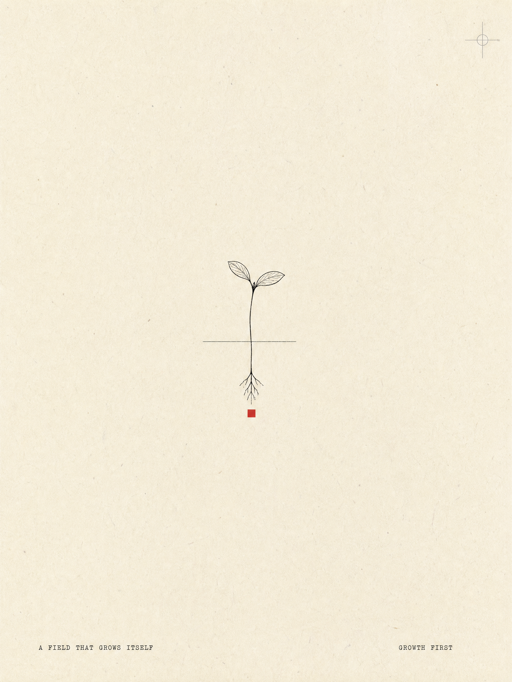 A seedling on warm paper — a field that grows itself