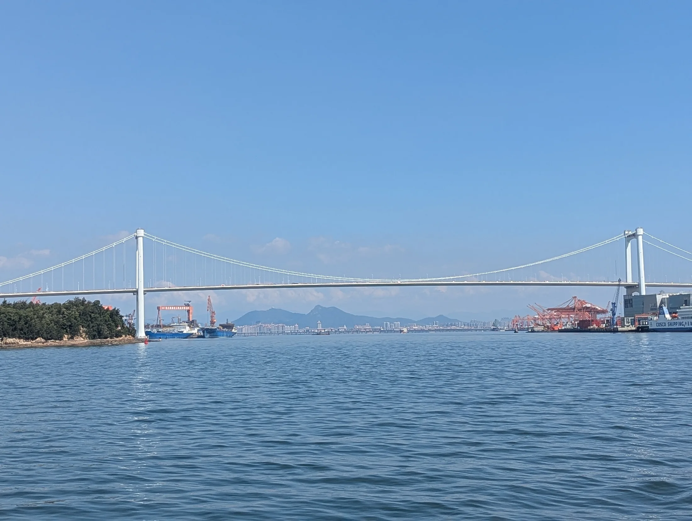 飞机飞过厦门街区上空