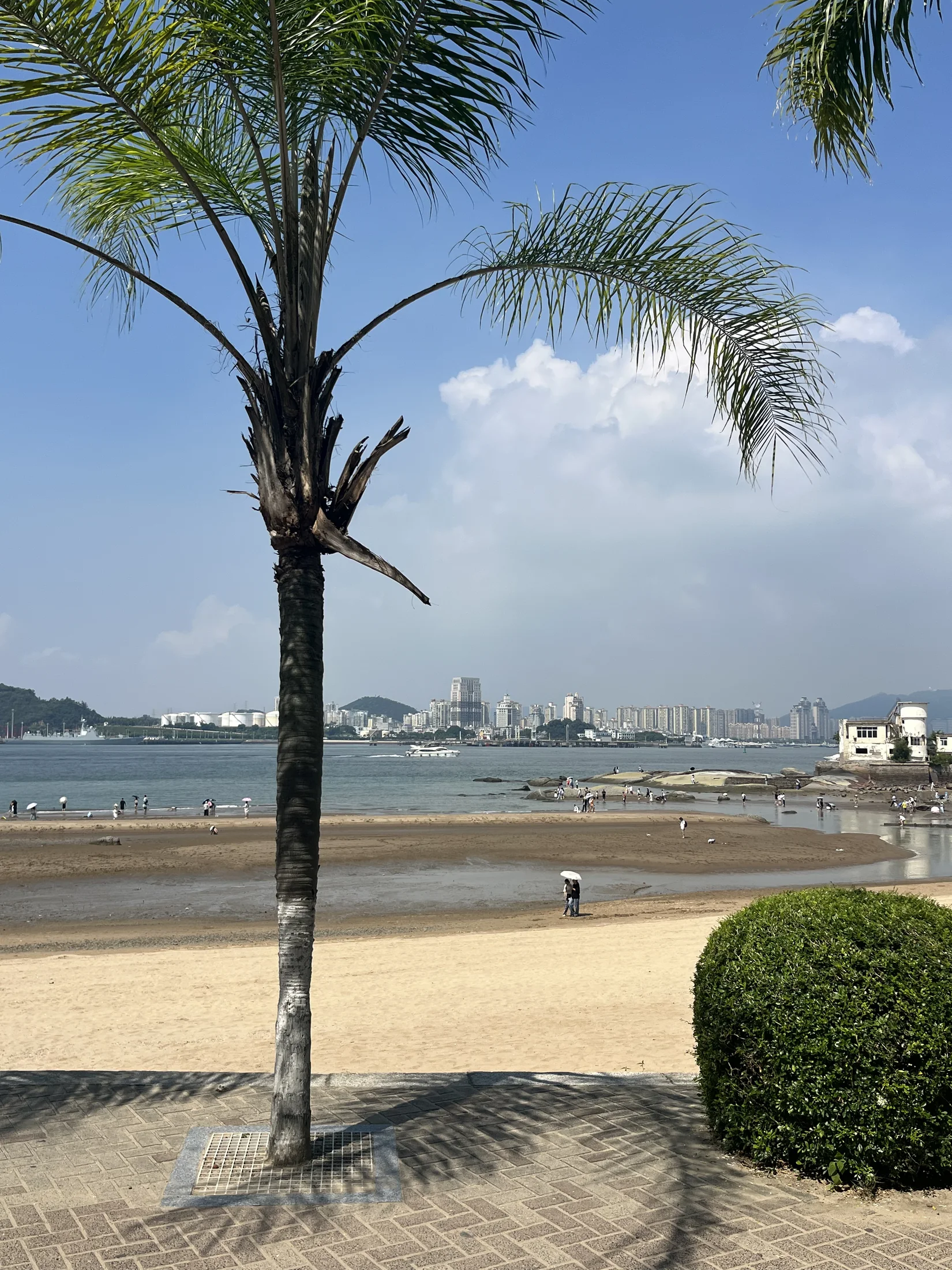 鼓浪屿旧墙与树影
