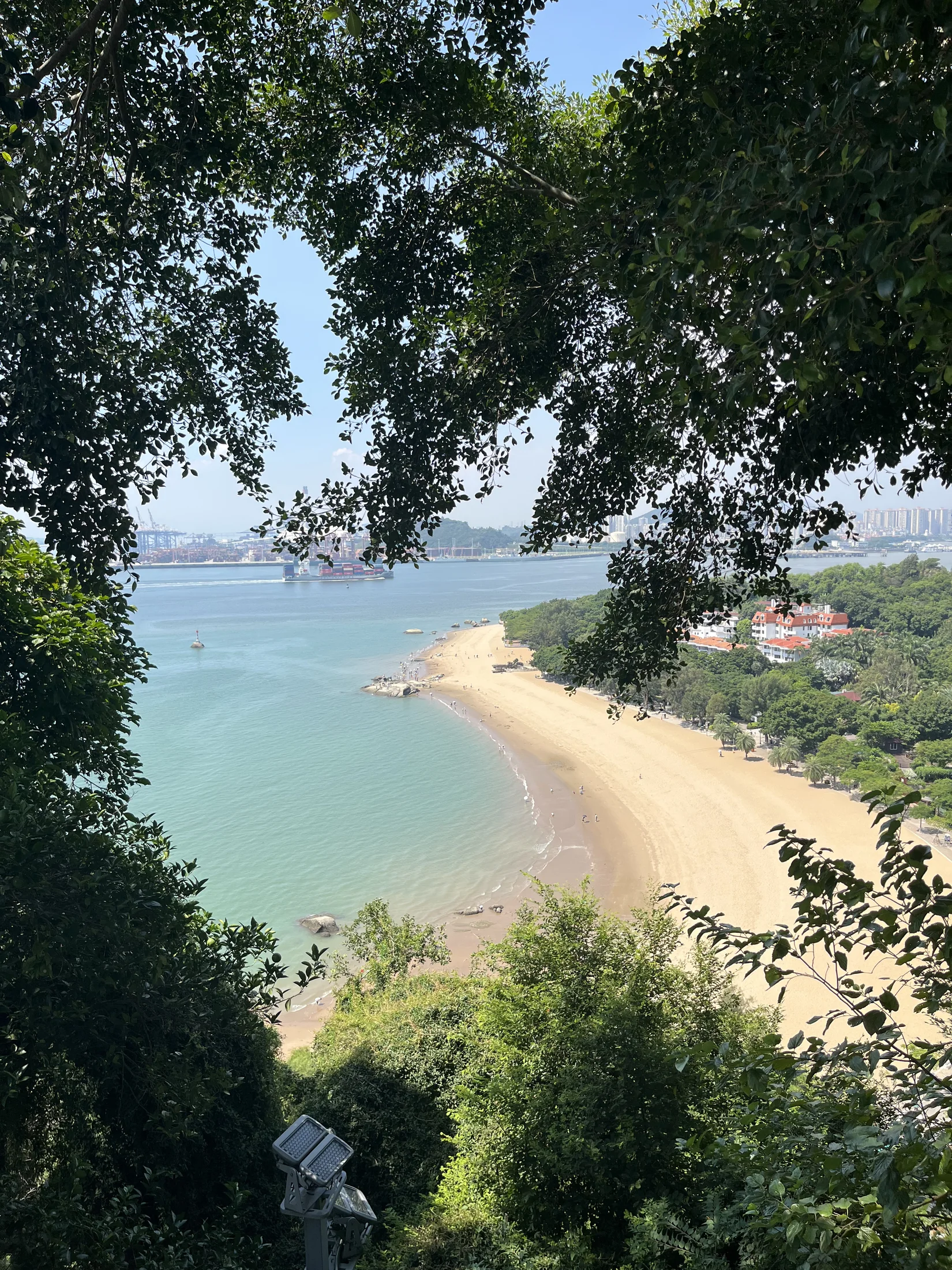 鼓浪屿树冠与光线