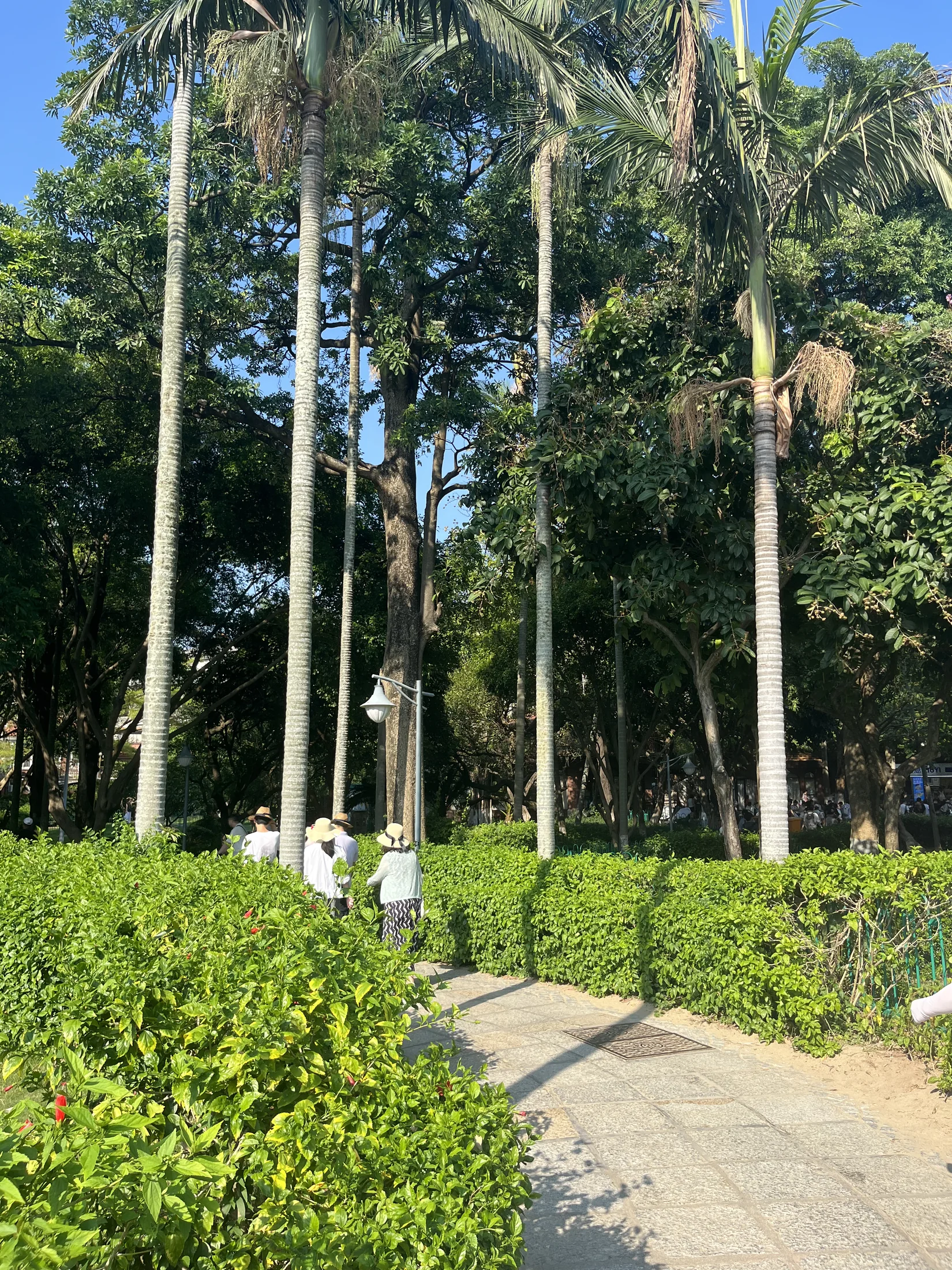 鼓浪屿旧建筑立面