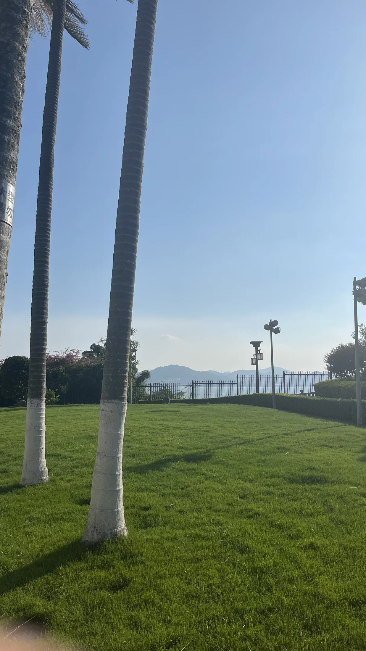 高处树影与厦门城市远景