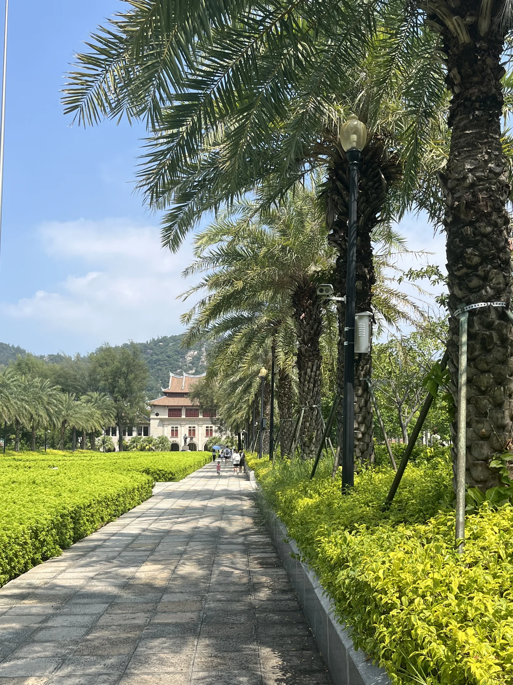 厦门大学红墙与树荫
